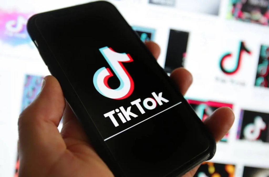 Tiktok跨境电商运营指南（一个人在国内做tiktok怎么赚钱）