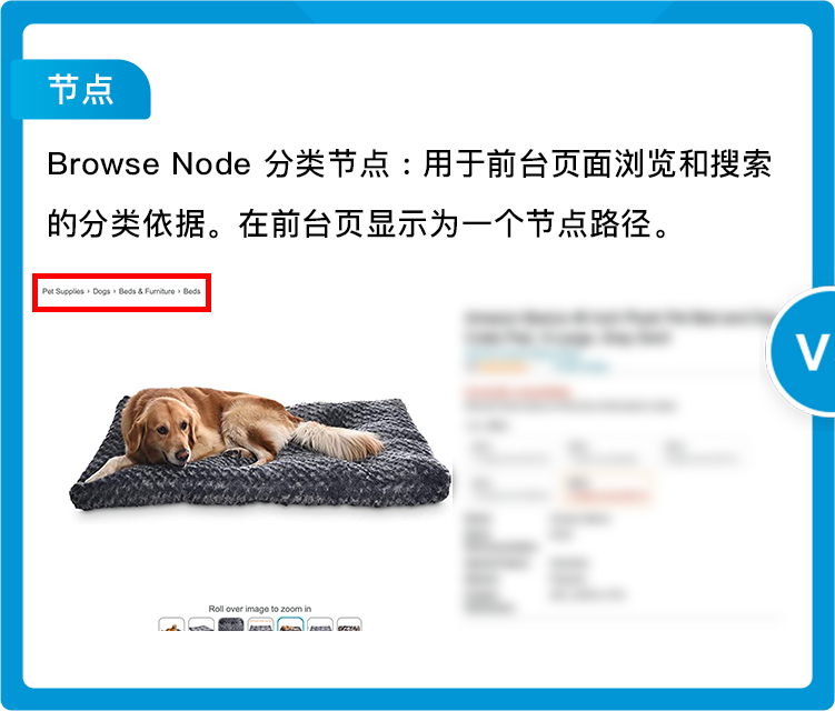 分类节点被更改，销售排名也消失了，稳住流量务必了解亚马逊Listing规则