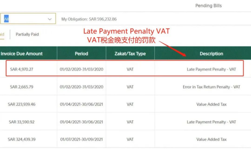 Amy聊跨境：强制！不注册沙特VAT将会被处以高额罚款！