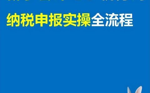 电子申报系统如何申报？电子税务纳税申报流程及条件