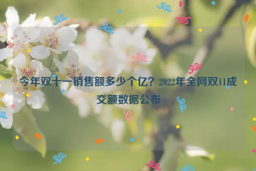 今年双十一销售额多少个亿？2022年全网双11成交额数据公布