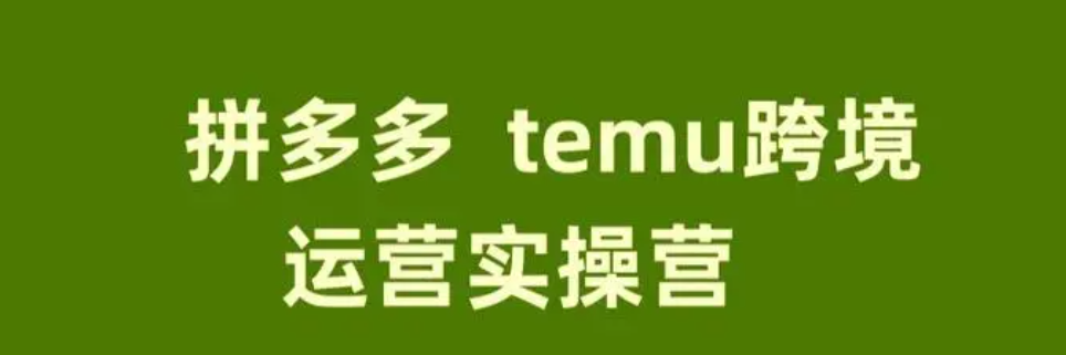 Temu跨境电商布局策略分享！是否可实行无货源模式？