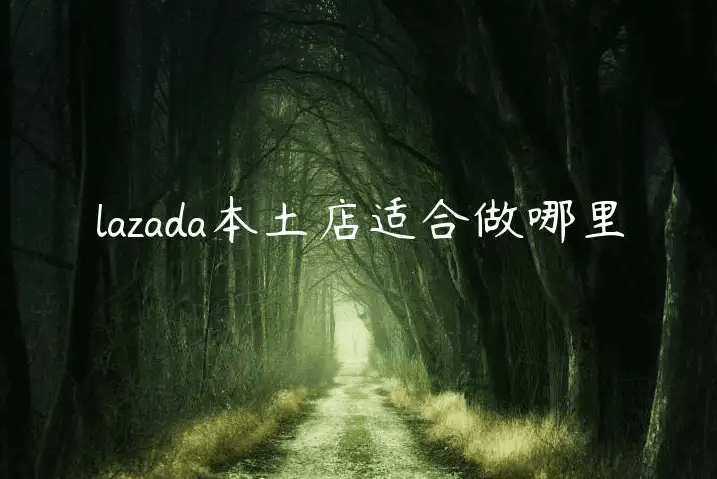 lazada跨境店和本土店哪个好做？ 两个店铺区别对比！