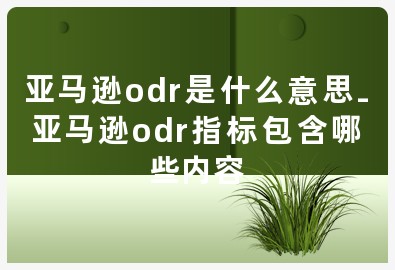 亚马逊odr是什么意思-亚马逊odr指标包含哪些内容