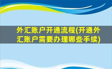 外汇账户开通流程(开通外汇账户需要办理哪些手续)-图1