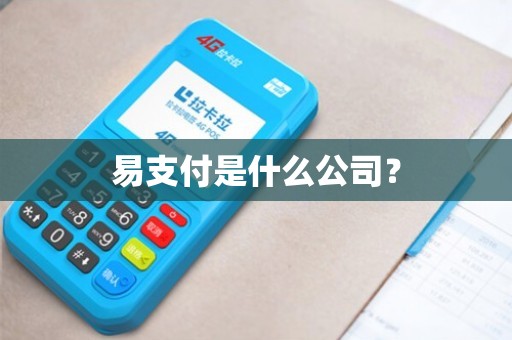 易支付是什么公司？