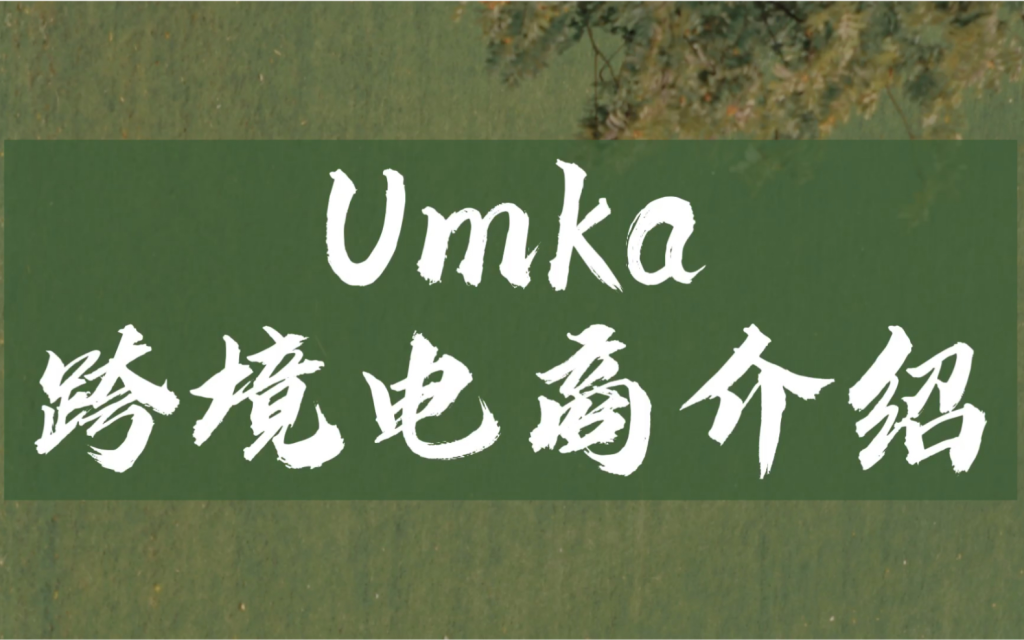 UMKA开店需要什么资料？俄罗斯本地电商的优势介绍！