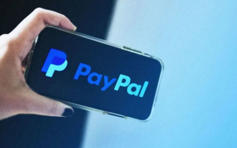 paypal无法付款怎么办？paypal支付无效/无法使用/冻结的原因及应对策略