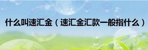 西联速汇金和速汇金哪个更方便？解析西联速汇金和速汇金的区别