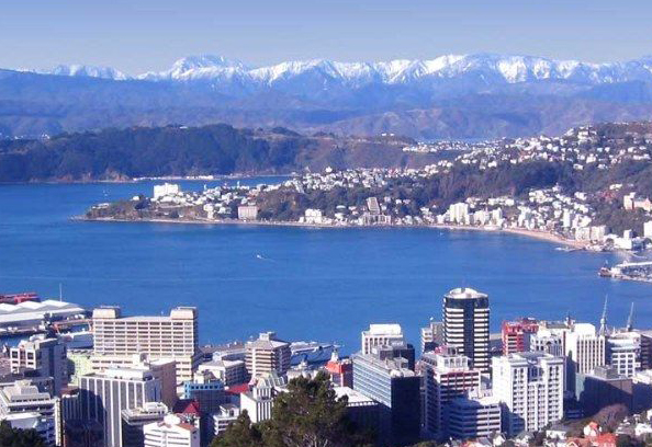 新西兰注册公司和个体户有区别吗？如何进行选择？