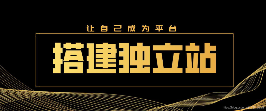 b2c跨境电商独立站怎么做？外贸新手小白必看的从建站到运营攻略大全