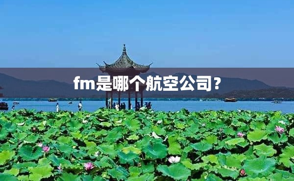 fm是哪个航空公司？fm航空公司介绍