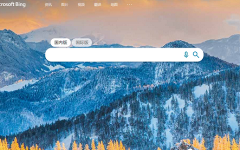 Bing国际版搜索引擎入口（必应国际版和国内版有什么区别）