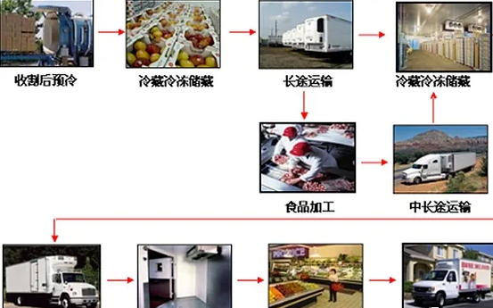 冷链是什么意思?解析冷链系统四个环节构成