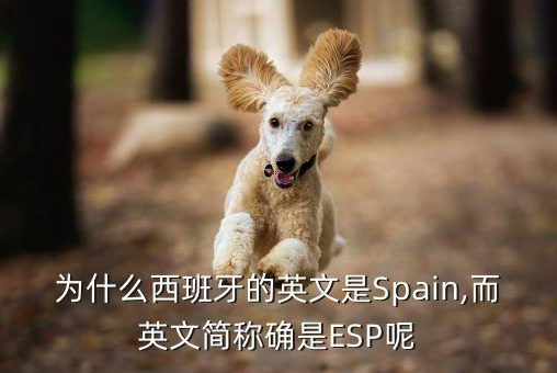 spain是哪个国家？spain国家简介概况