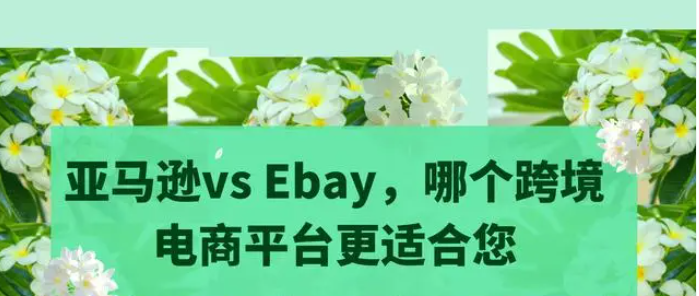 亚马逊和ebay哪个平台更好？该怎么选择？