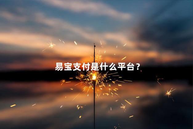 易宝支付是什么平台？