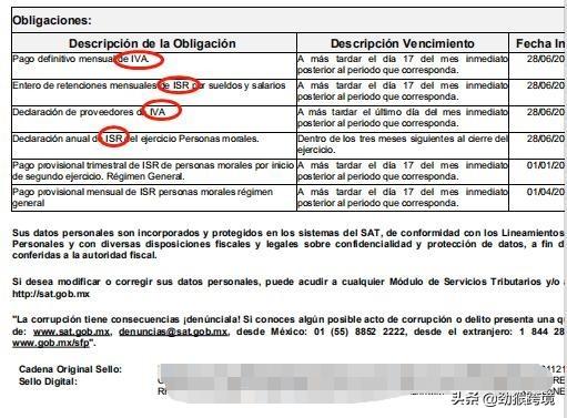 注册墨西哥RFC税号后的税率多少？有多少方式获取？