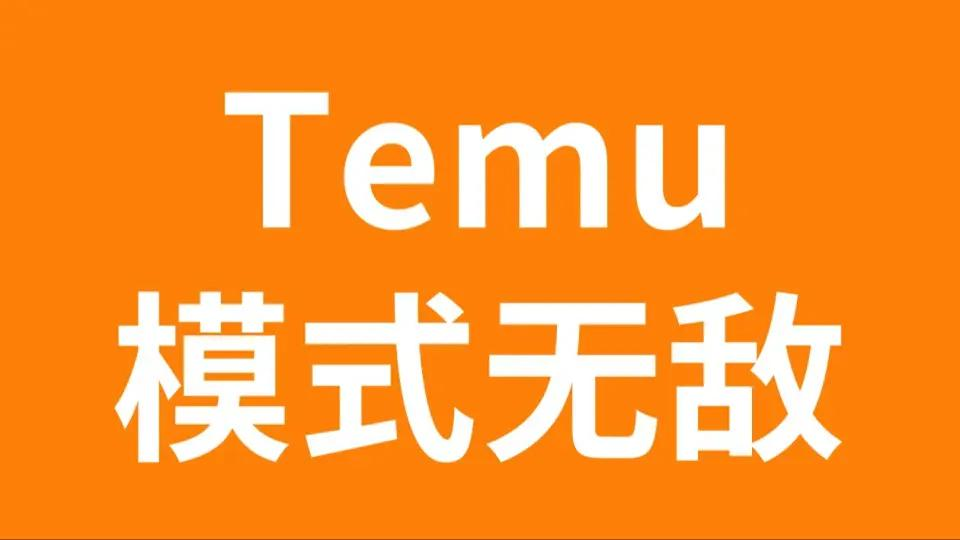 Temu平台出单情况如何？制定出单策略！