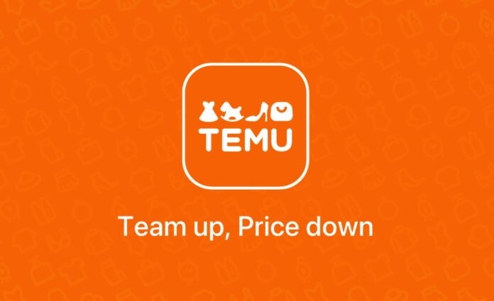 temu适合销售哪些产品？平台热门类目！