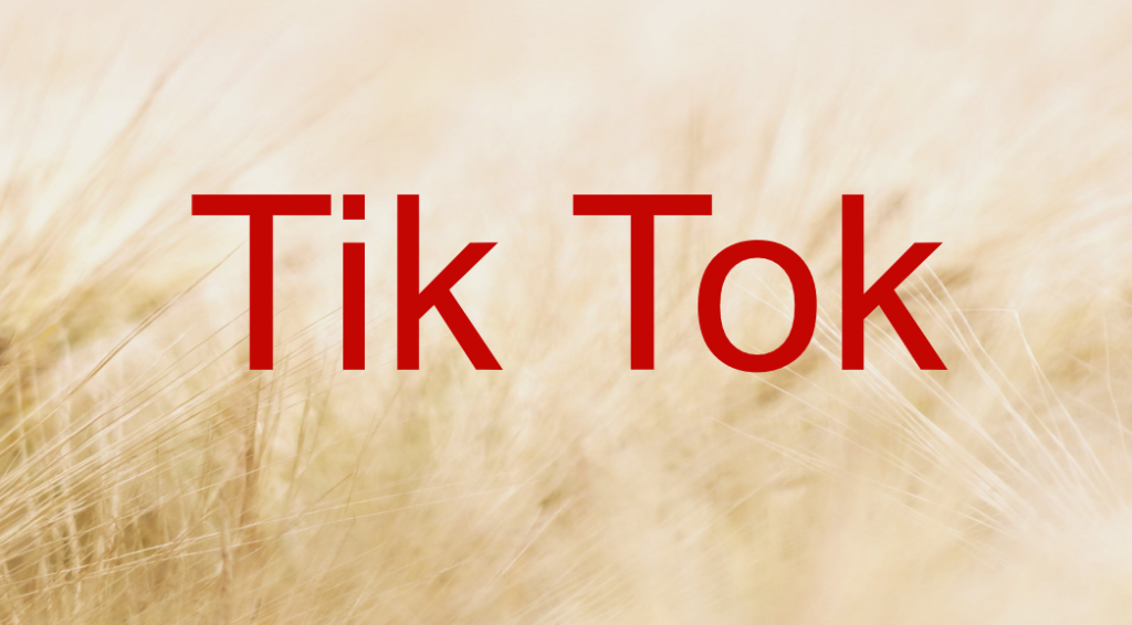 Tik Tok产品发货用什么物流？支持哪些国际物流？