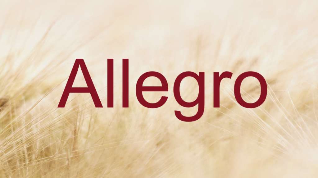 Allegro平台爆款listing如何打造？详细介绍优化方法及技巧